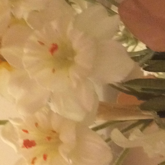 Meet your Posher, Tam - Picture 1 of 1